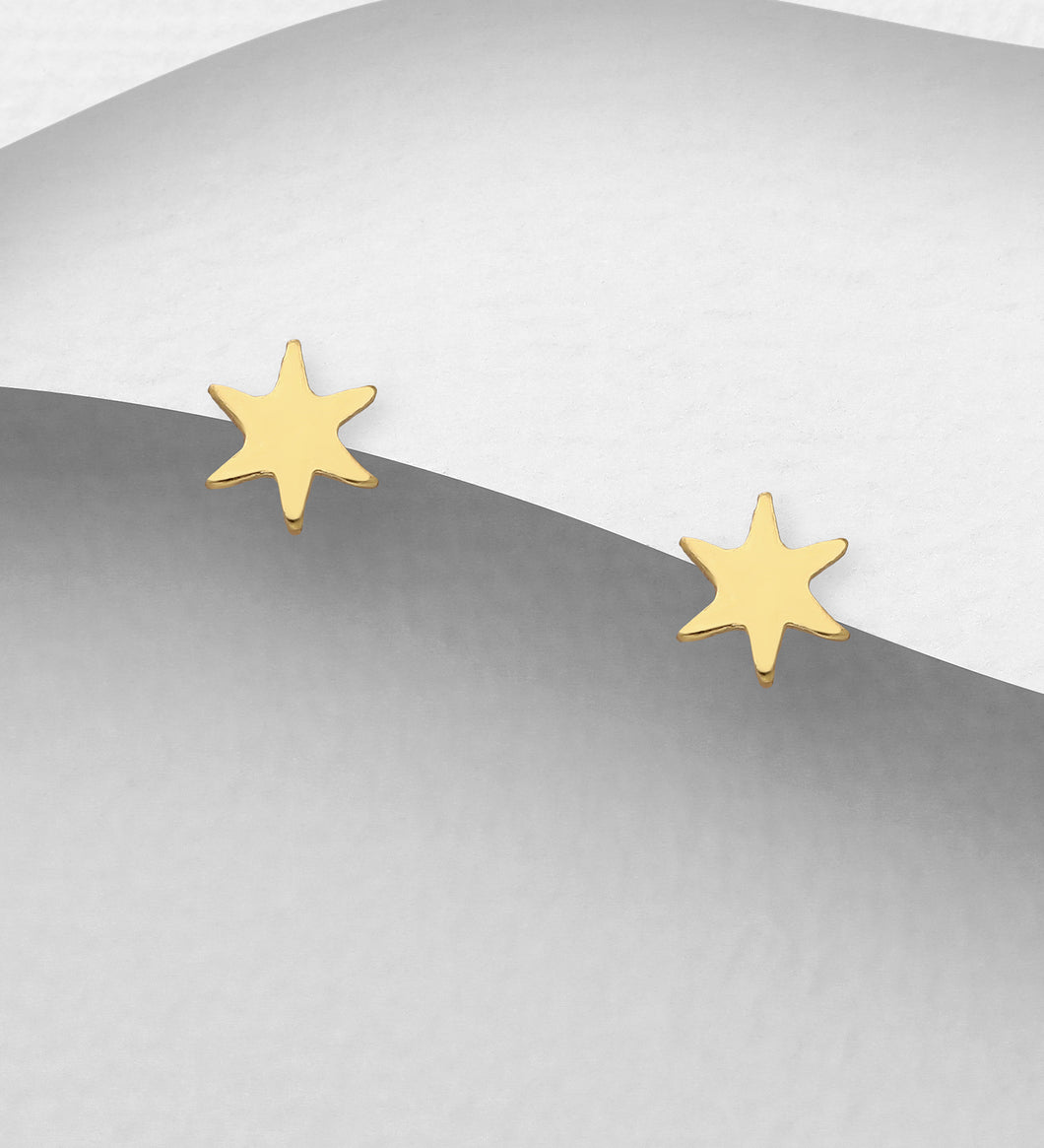 Sterling Silver with 18K Gold Plate Little Star Studs