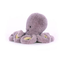 Load image into Gallery viewer, Maya Octopus Baby
